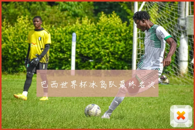 巴西世界杯冰岛队最终名次