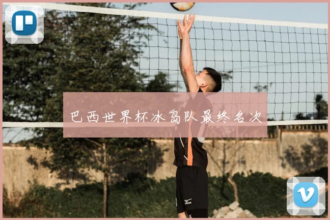 巴西世界杯冰岛队最终名次